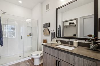 Luxurious bathroom